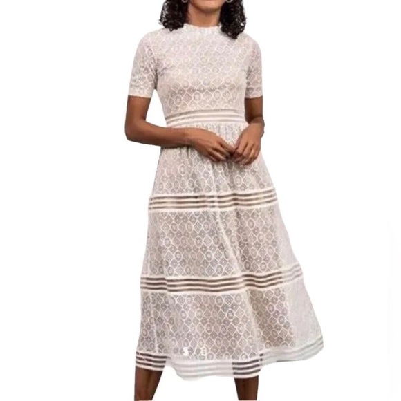 NWT Baltic Born Windsor Lace Midi Dress in Ivory Size Small Fall Wedding Bridal - Picture 1 of 10